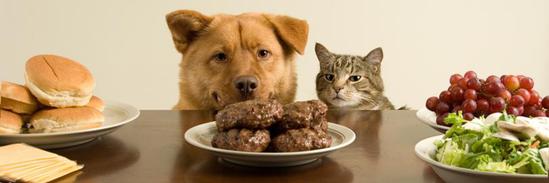 һ����ʺ��Ҫ������ѧ��ʡǮ��