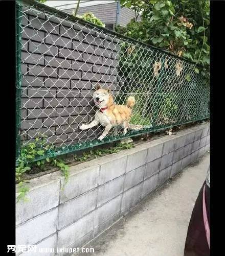 ��ҡ��ʿ��Ȯ���λ�ľ���������ֱ̫ħ���� 
