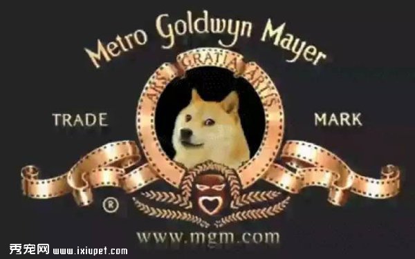 ��ҡ��ʿ��Ȯ���λ�ľ���������ֱ̫ħ���� 