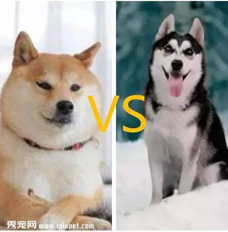 ��ҡ��ʿ��Ȯ���λ�ľ���������ֱ̫ħ���� 