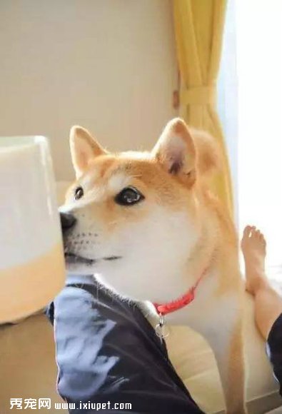 ��ҡ��ʿ��Ȯ���λ�ľ���������ֱ̫ħ���� 
