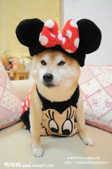 ��ҡ��ʿ��Ȯ���λ�ľ���������ֱ̫ħ���� 