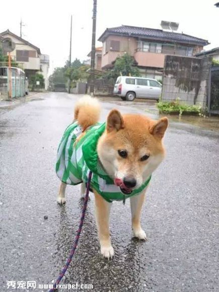 ��ҡ��ʿ��Ȯ���λ�ľ���������ֱ̫ħ���� 