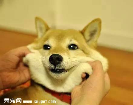 ��ҡ��ʿ��Ȯ���λ�ľ���������ֱ̫ħ���� 