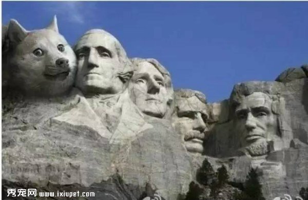 ��ҡ��ʿ��Ȯ���λ�ľ���������ֱ̫ħ���� 