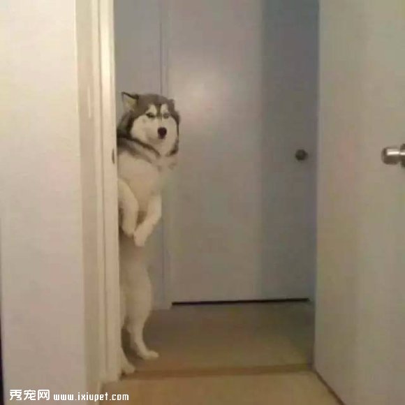��ҡ��ʿ��Ȯ���λ�ľ���������ֱ̫ħ���� 