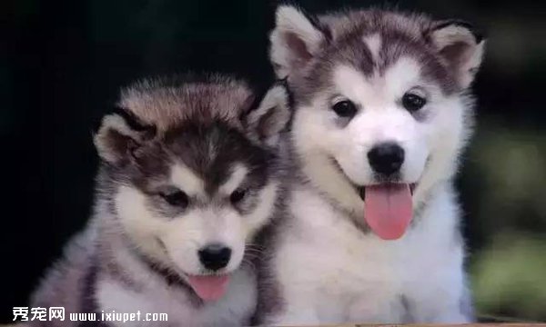 ��ҡ��ʿ��Ȯ���λ�ľ���������ֱ̫ħ���� 