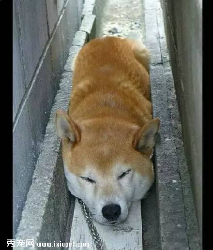 ��ҡ��ʿ��Ȯ���λ�ľ���������ֱ̫ħ���� 