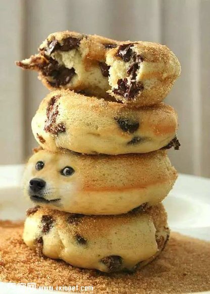 ��ҡ��ʿ��Ȯ���λ�ľ���������ֱ̫ħ���� 