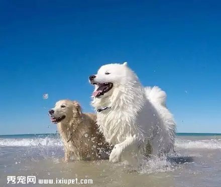 һֻ��ë����ĦҮ������ˣ���Ȼ����΢Ц��.....
