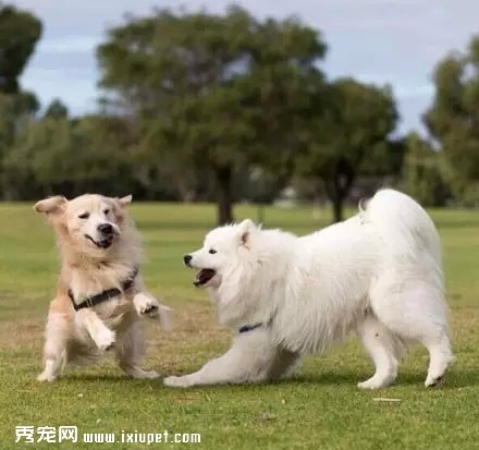һֻ��ë����ĦҮ������ˣ���Ȼ����΢Ц��.....