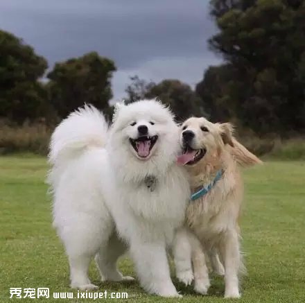 һֻ��ë����ĦҮ������ˣ���Ȼ����΢Ц��.....