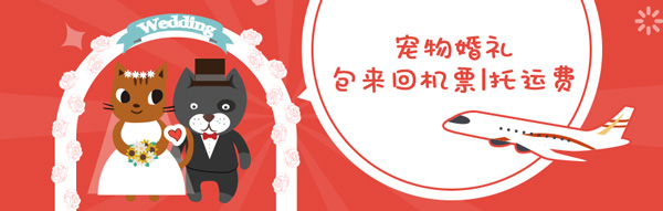 ��ʣ�衱���ף�������Ȧ��Ƶֱ�����״�ᣡ