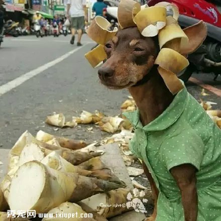 �����Ҽ�����ʱ�У����������......