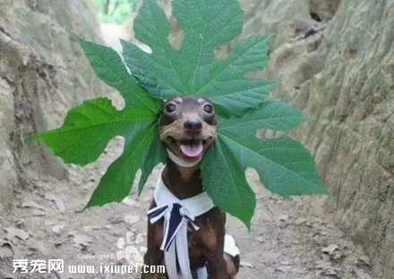 �����Ҽ�����ʱ�У����������......