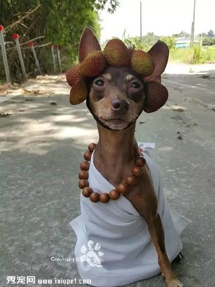 �����Ҽ�����ʱ�У����������......