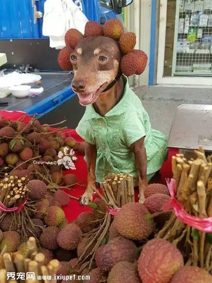 �����Ҽ�����ʱ�У����������......