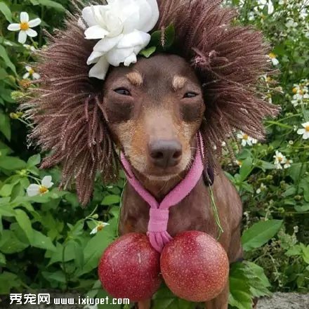 �����Ҽ�����ʱ�У����������......