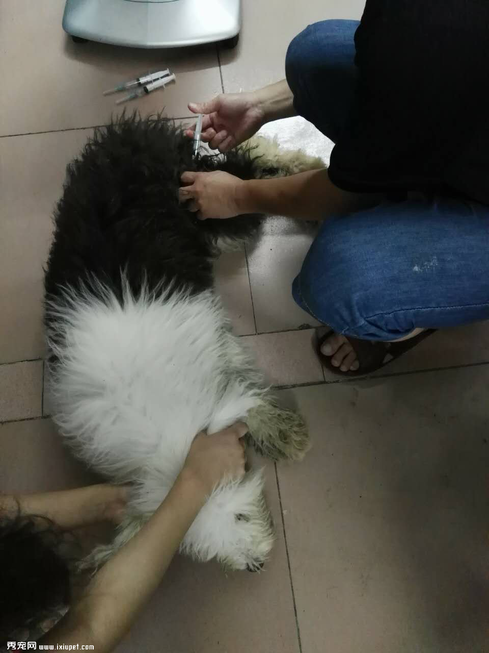 �������������������ɵ����ӣ�����һ����ȫ��