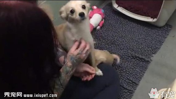 ����������������������̫����