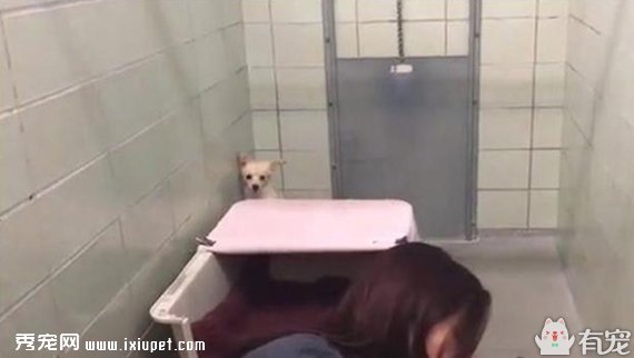 ����������������������̫����