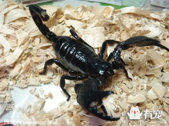 ����Ы��real�᣿Ůѧ����Щ������