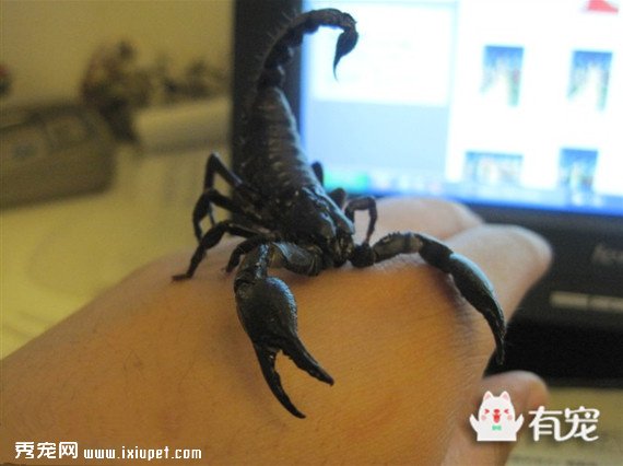 ����Ы��real�᣿Ůѧ����Щ������