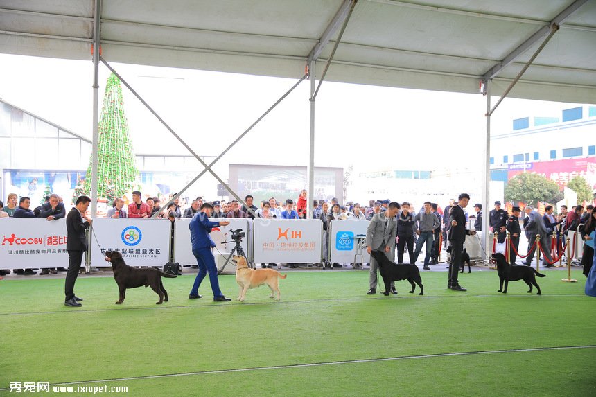 js083511