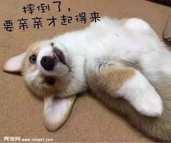 ��Щϰ�ߣ����ù������������ꡱ