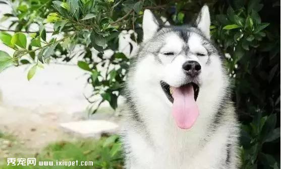 ��Щϰ�ߣ����ù������������ꡱ