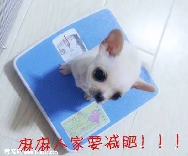 ��Щϰ�ߣ����ù������������ꡱ