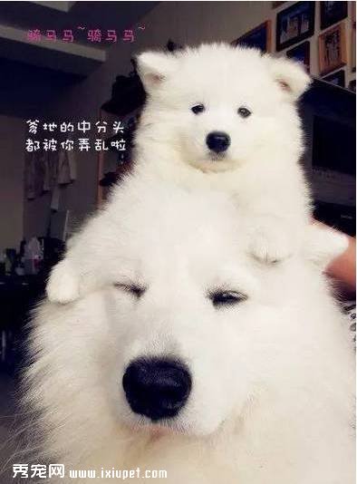 ��Щϰ�ߣ����ù������������ꡱ