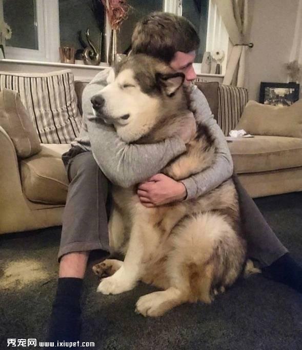 ���鷳���������������Ȯ��ԭ��