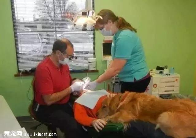 ���鷳���������������Ȯ��ԭ��