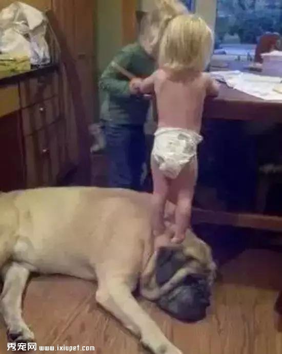 ���鷳���������������Ȯ��ԭ��