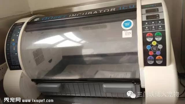������ḻ������Ͽ�������ҽԺ���
