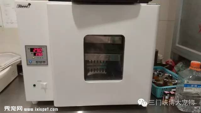 ������ḻ������Ͽ�������ҽԺ���