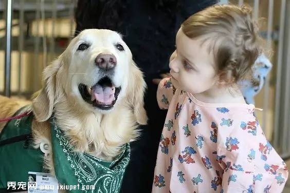 ���Ĺ�������Ȯ������Щ��������