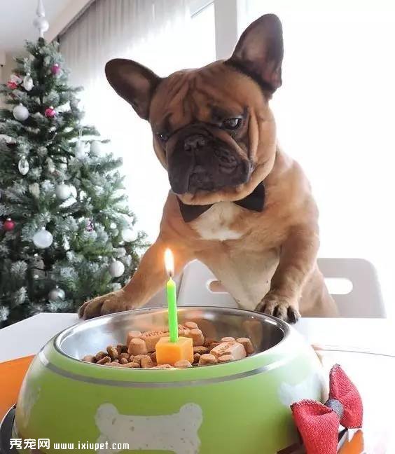 ���Ĺ�������Ȯ������Щ��������