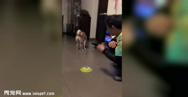 ����������ѵ������-�¹�������Ѱ������������