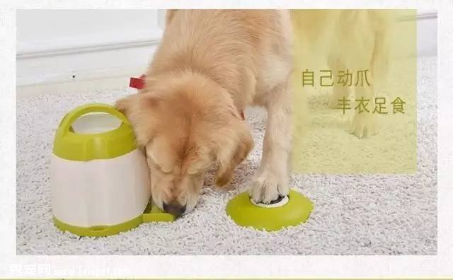 ����������ѵ������-�¹�������Ѱ������������
