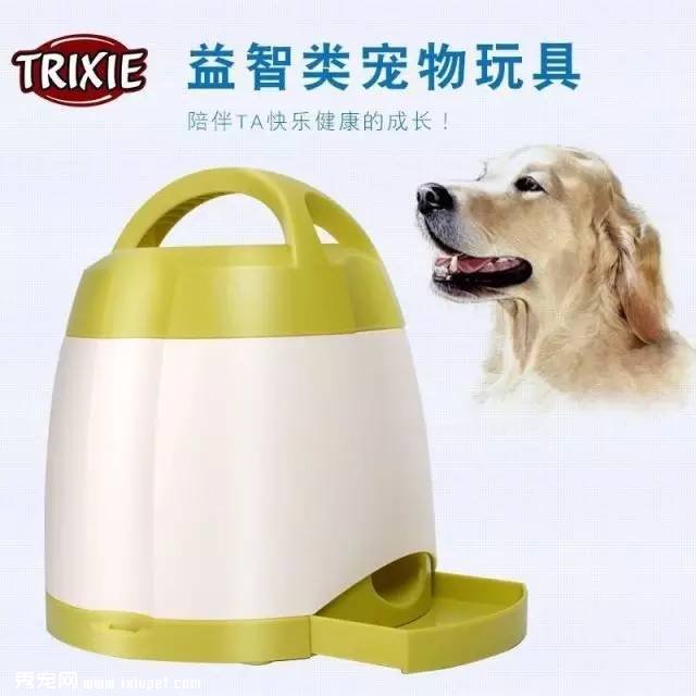 ����������ѵ������-�¹�������Ѱ������������