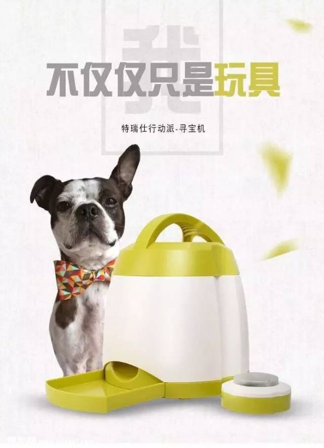 ����������ѵ������-�¹�������Ѱ������������