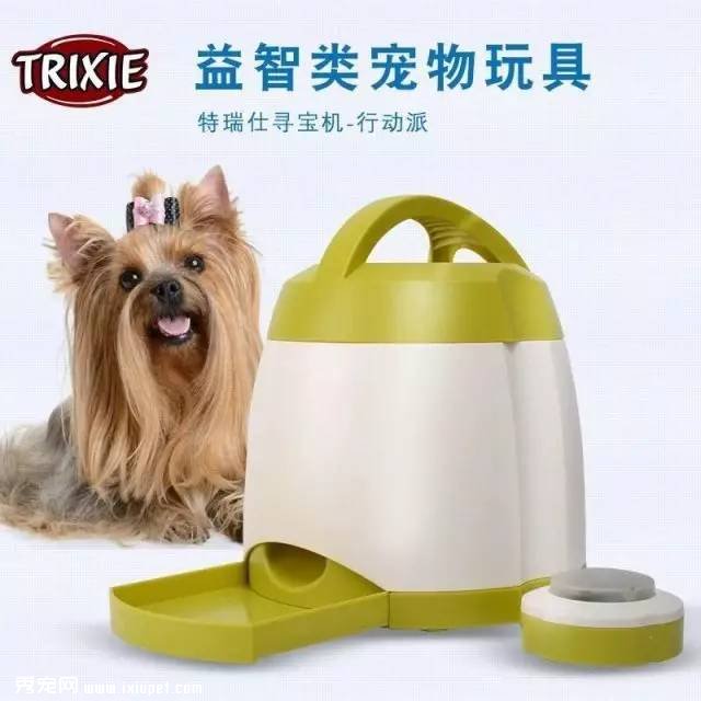 ����������ѵ������-�¹�������Ѱ������������
