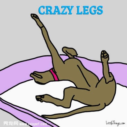����˯�˿��Ը���ҵĹ�����������˯���أ�