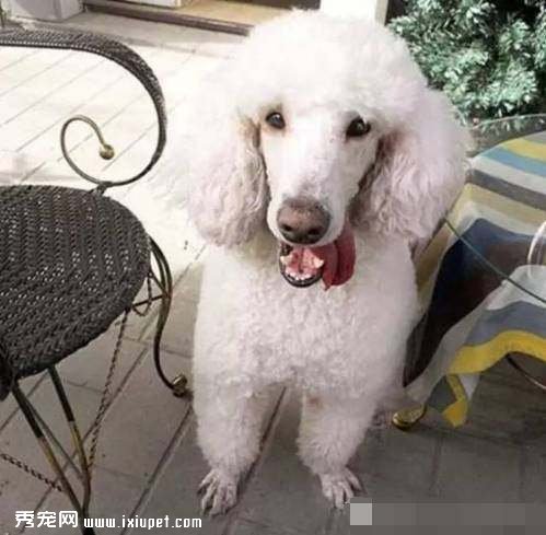 Ů�ӻ�����Ԫ�������๷�������������ʮ����ȴ������