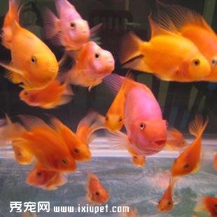 ����ˮ�м��ε���ȷ����