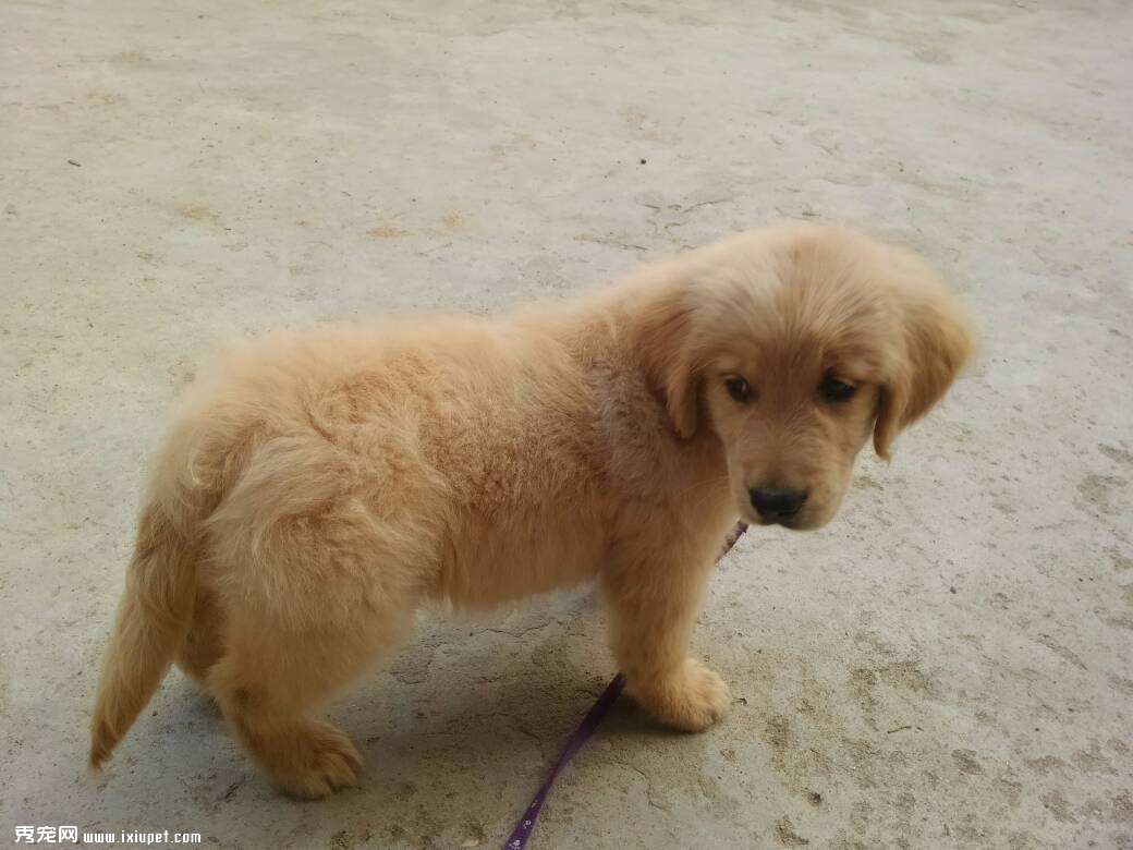 ��ëȮ�ı�׼����������