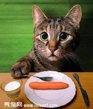 è����ʳ��ʳ ��������ϰ��