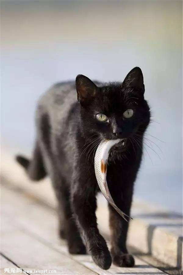 è�����ѧ�ʴ� ι��Ҫע�⣡